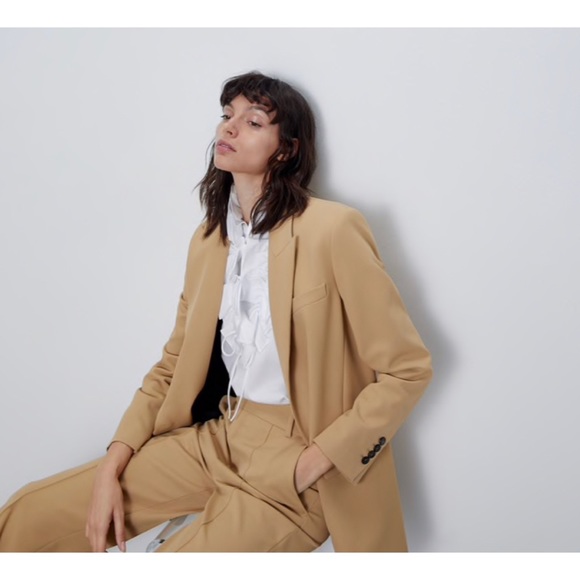 Zara Oversized Blazer - Picture 15 of 16